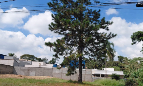 Terreno amplo, localizado em um dos melhores condomínios de Vargem Grande Paulista!